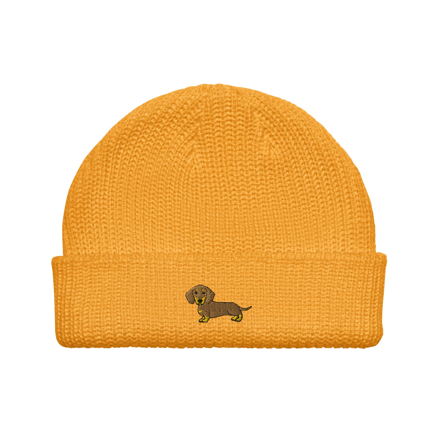 Dior - Chocotan - Short Haired Dachshund (Beanie)