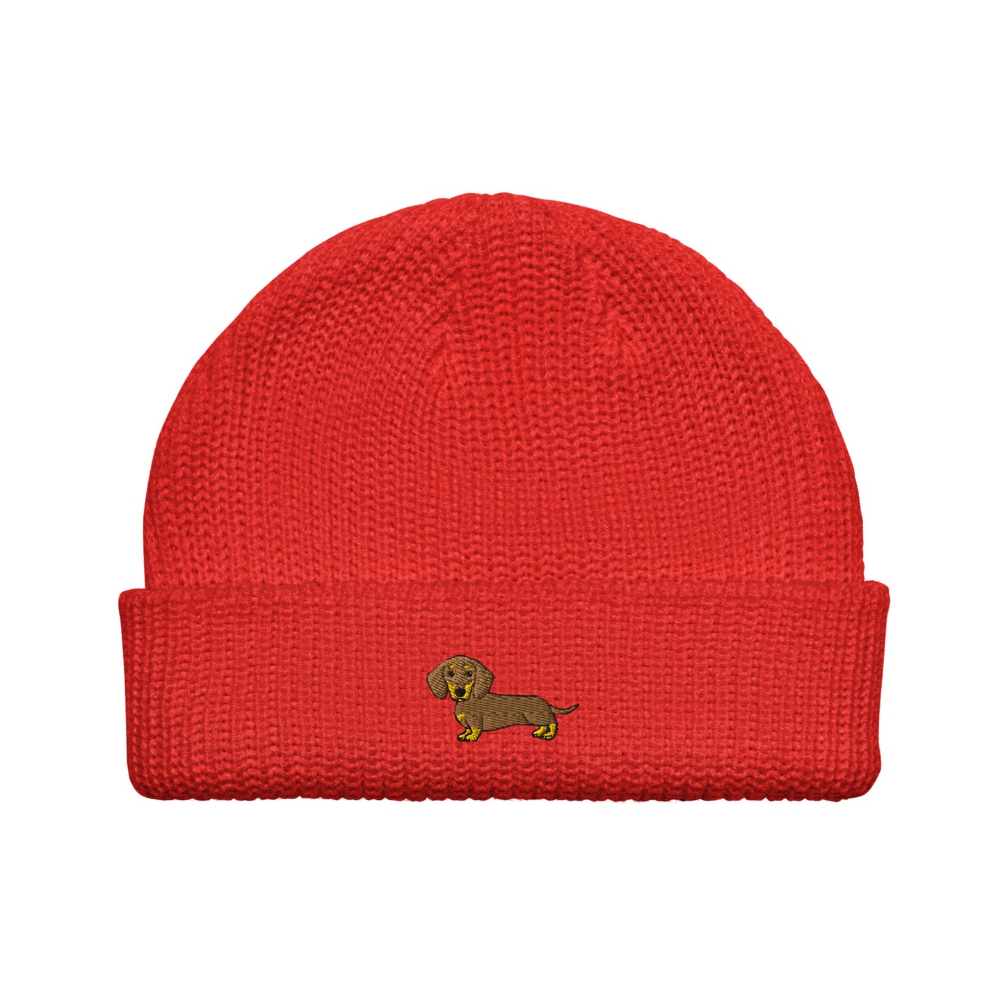 Dior - Chocotan - Short Haired Dachshund (Beanie)
